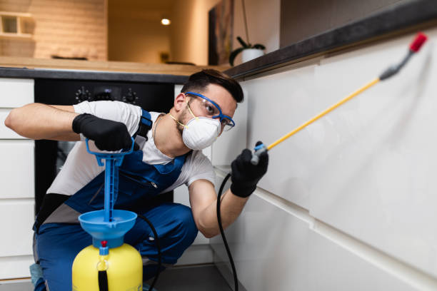 Best Mosquito Control Services  in Cookeville, TN