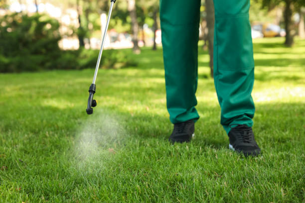 Best Termite Control Services  in Cookeville, TN